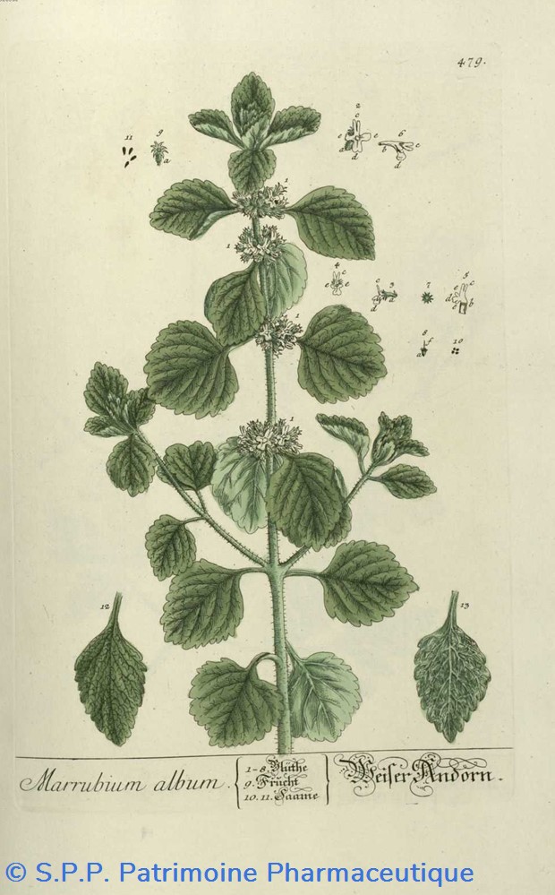 science flacon en verre herboristerie grand modele pharmacie ravasse