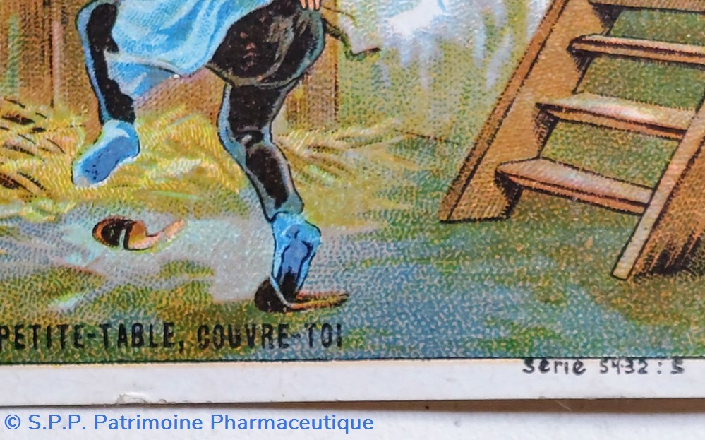 Camphrice du Canada / " image petite table.." 2 science pharmacie camphrice du canada image petite table