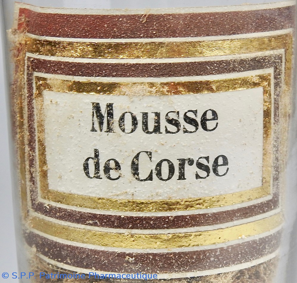 Flacon en verre Herboristerie grand modèle Pharmacie RAVASSE 2 science flacon en verre herboristerie grand modele pharmacie ravasse