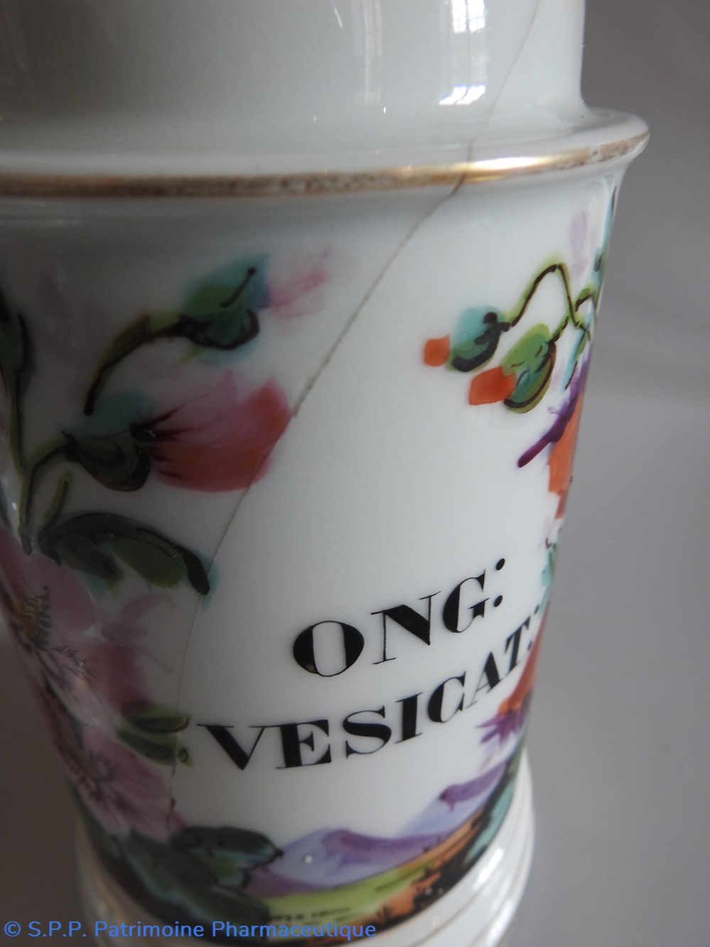 ONG:VESICAT: 2 science pharmacie ong vesicat