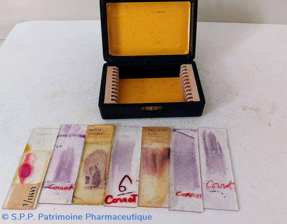 Lames de microscope 2 science pharmacie lames de microscope