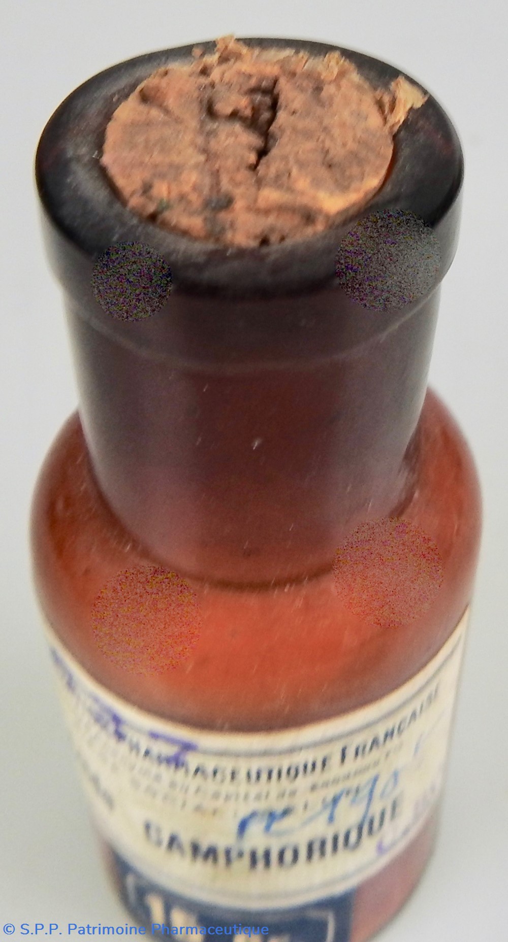 science pharmacie acide camphorique