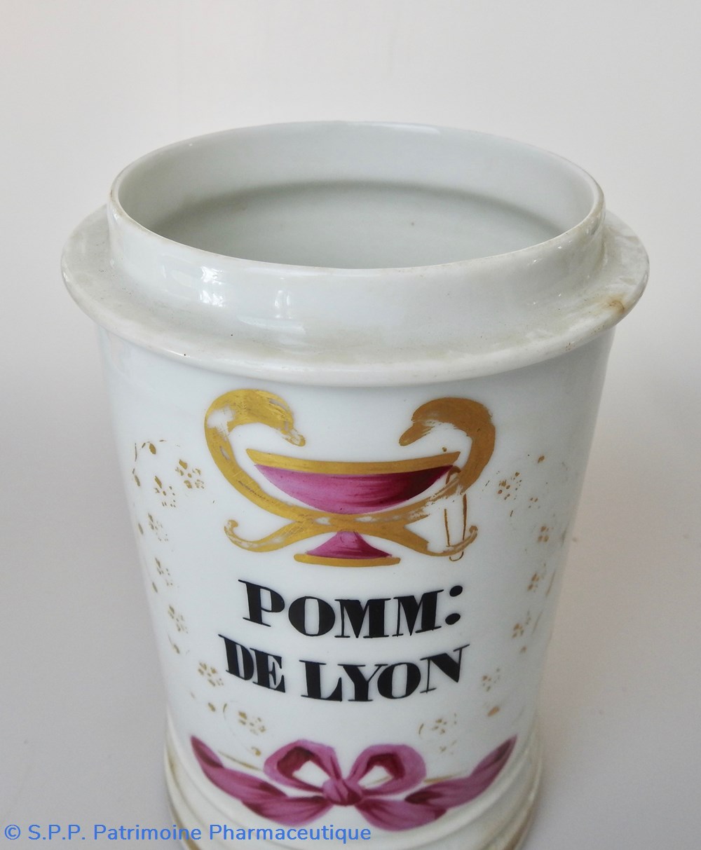 science pharmacie pomm de lyon