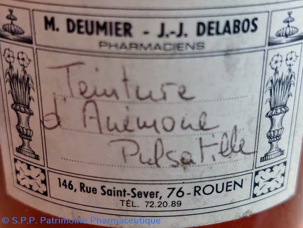 TEINTURE D'ANEMONE PULSATILLE 8 science pharmacie teinture anemone pulsatille