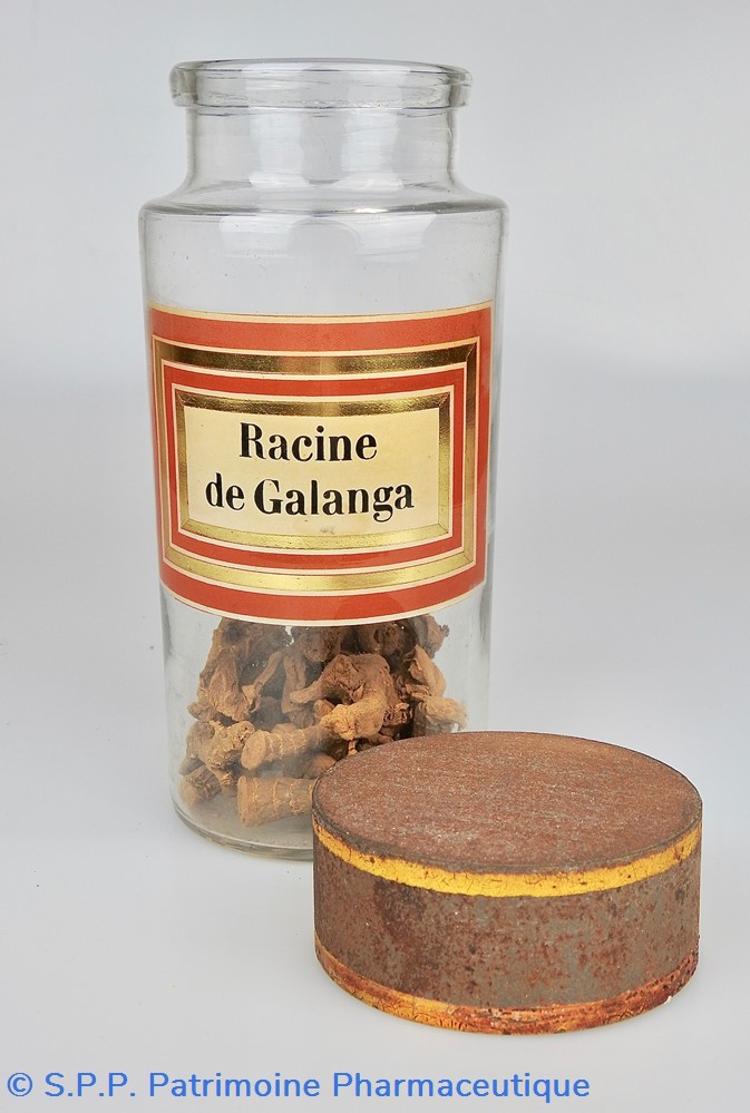 Flacon en verre Herboristerie grand modèle Pharmacie RAVASSE 3 science flacon en verre herboristerie grand modele pharmacie ravasse