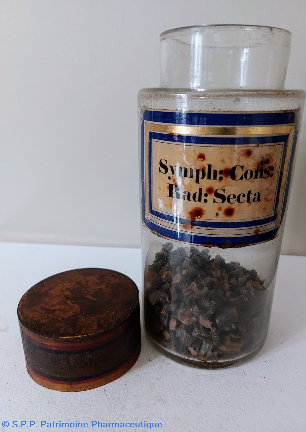 Flacon Herboristerie " Symph: Cons : Rad: Secta" 5 science pharmacie flacon herboristerie symph cons rad secta