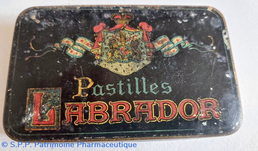 LABRADOR ( Pastilles) science labrador pastilles