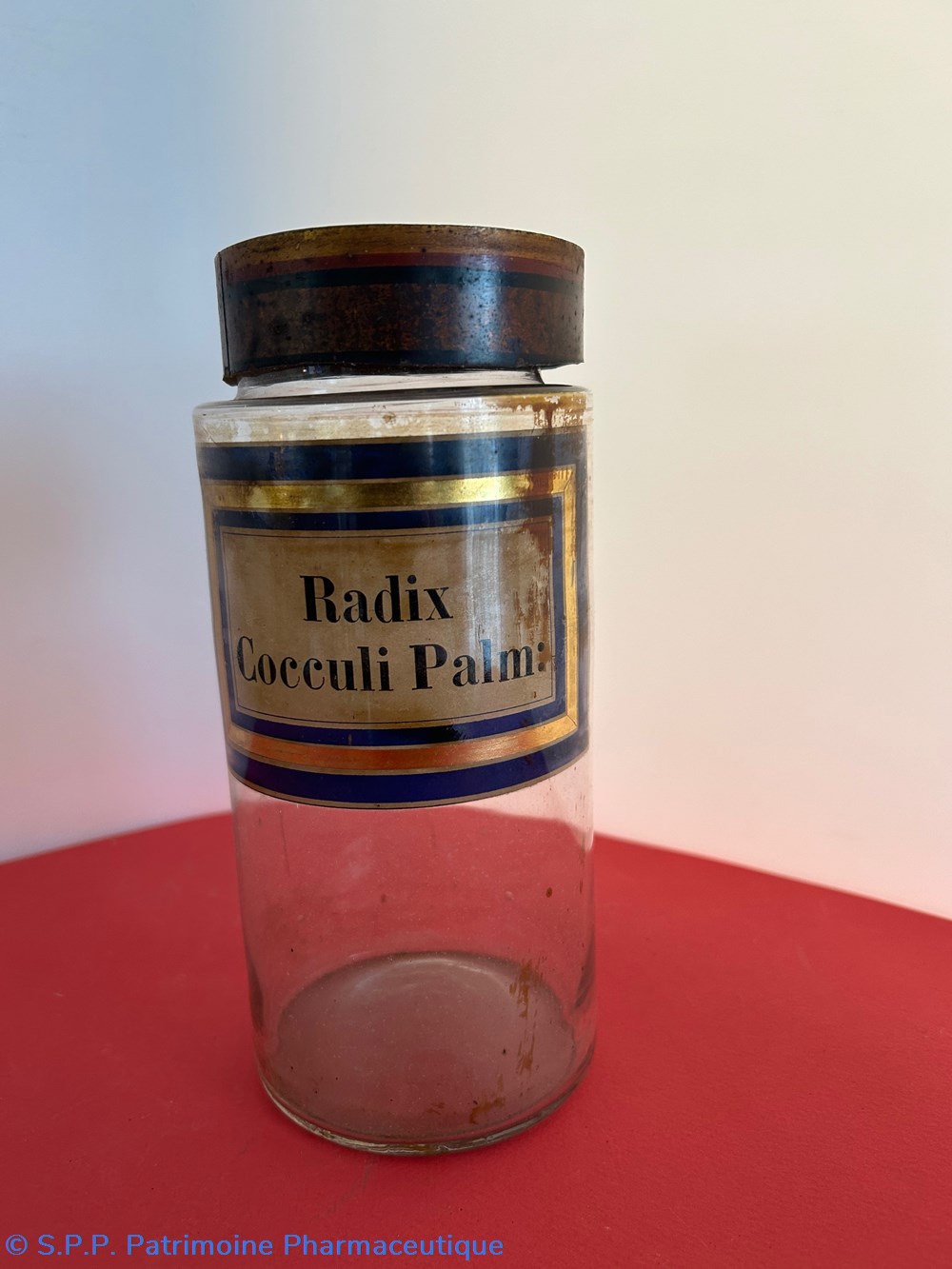 Radix Cocculi Palm: science pharmacie radix cocculi palm