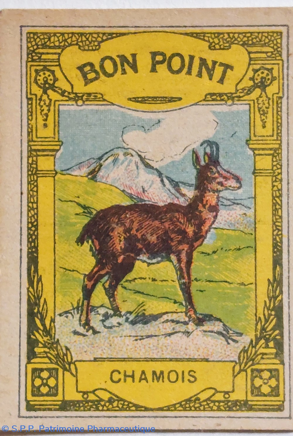 science pharmacie bon point jacquemaire le chamois