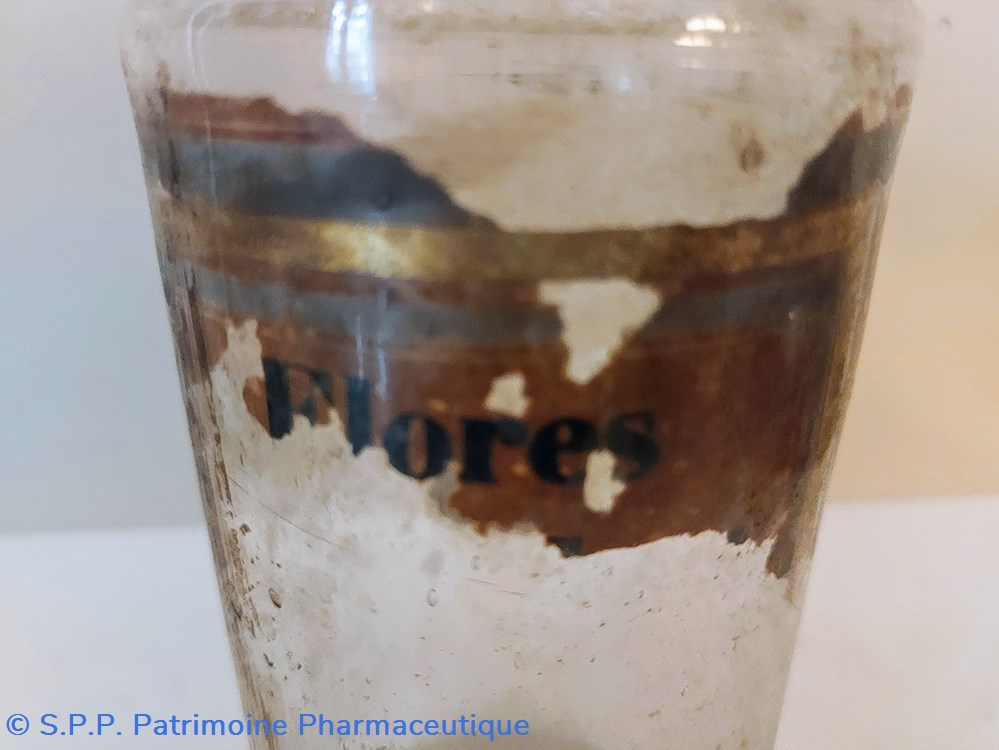 science pharmacie flores