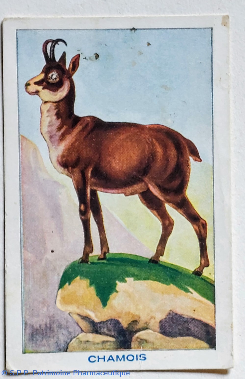 Sirop de Deschiens/ Bon - point "Le chamois" science pharmacie sirop de deschiens bon point le chamois
