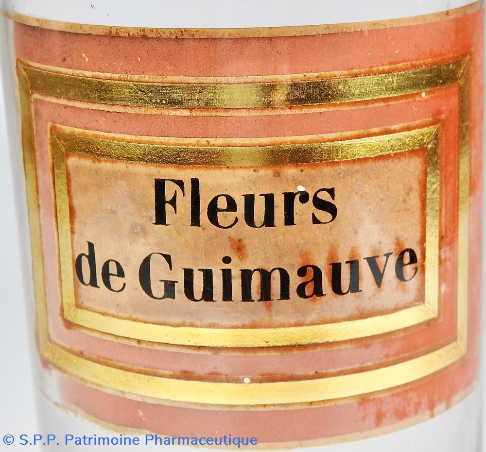 Flacon en verre Herboristerie grand modèle Pharmacie RAVASSE 2 science flacon en verre herboristerie grand modele pharmacie ravasse