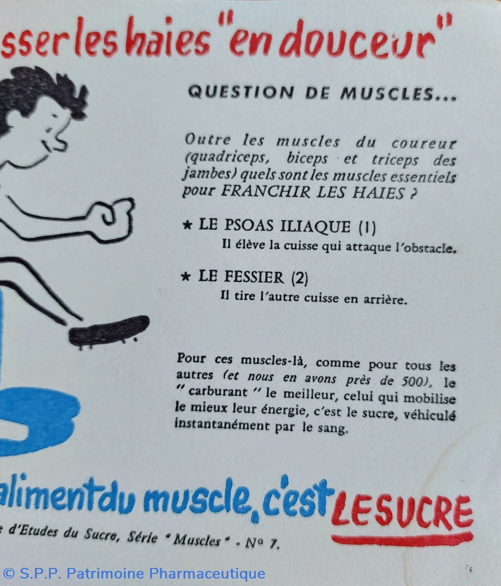 science pharmacie le sucre aliment du muscle serie muscles n 7 course de haies