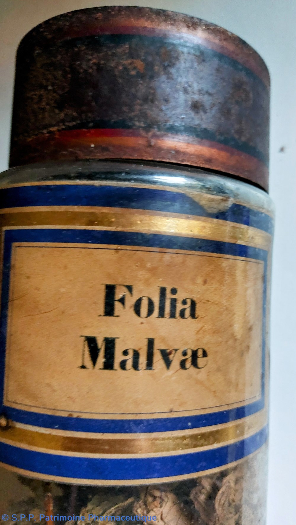 Folia Malvae Flacon en verre Herboristerie grand modèle 5 science pharmacie folia malvae flacon en verre herboristerie grand modele