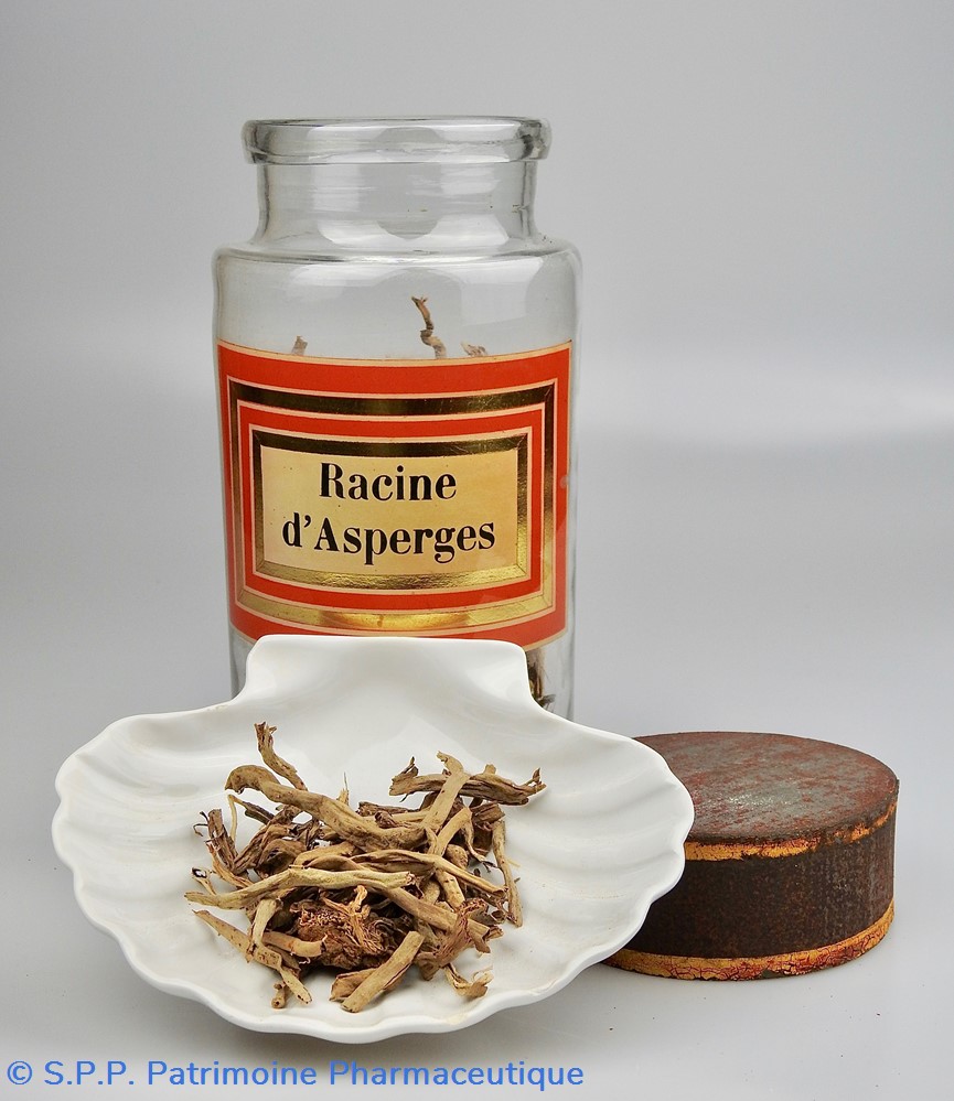 Flacon en verre Herboristerie grand modèle Pharmacie RAVASSE 5 science flacon en verre herboristerie grand modele pharmacie ravasse