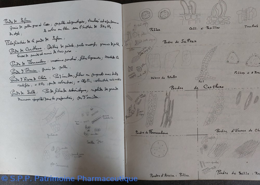 Cahier d'étudiant T. P. de micrographie 1940-41 3 documents anciens cahier etudiant t p de micrographie 1940 41