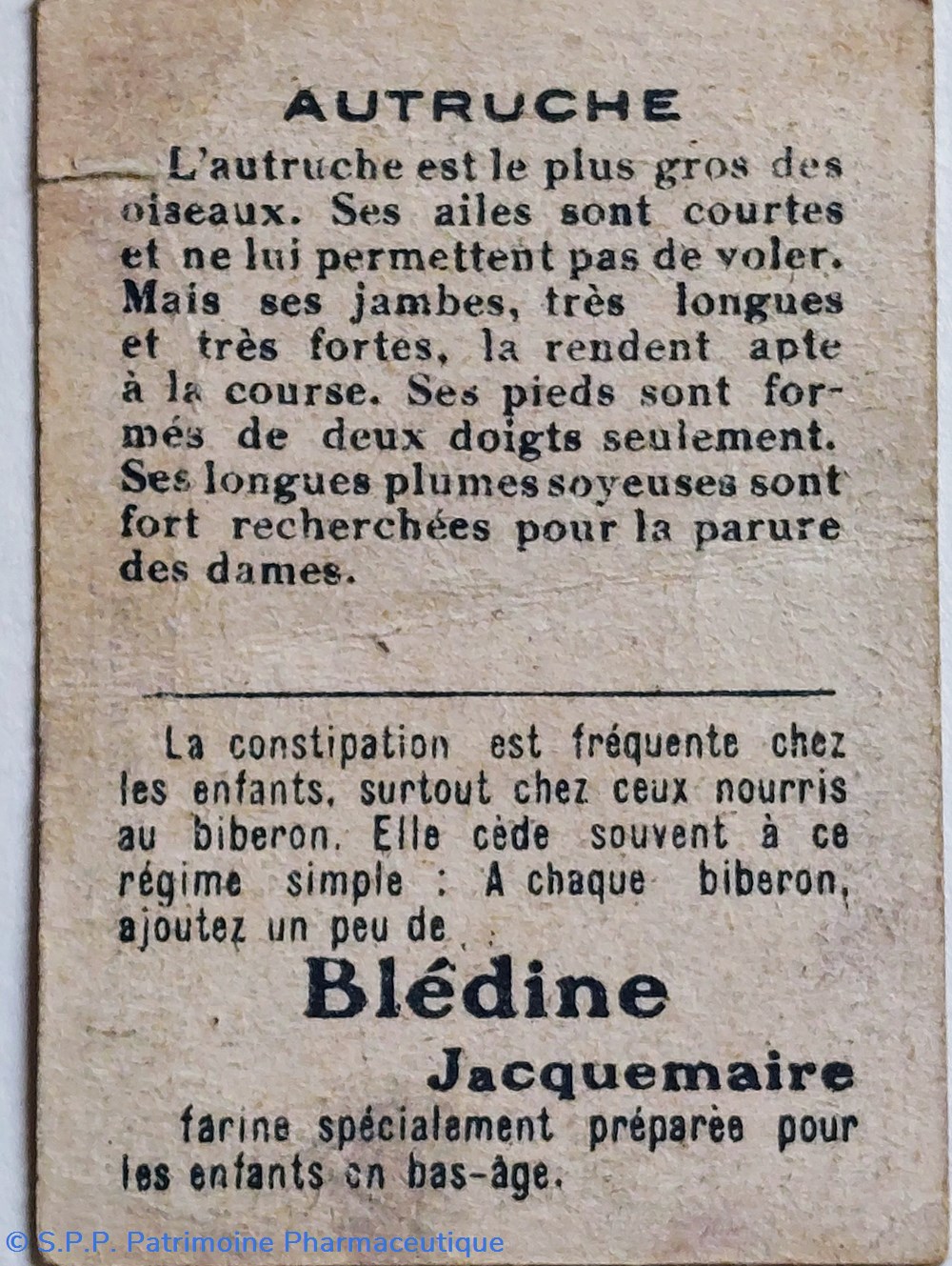 science pharmacie bon point jacquemaire autruche et ses caracteristiques