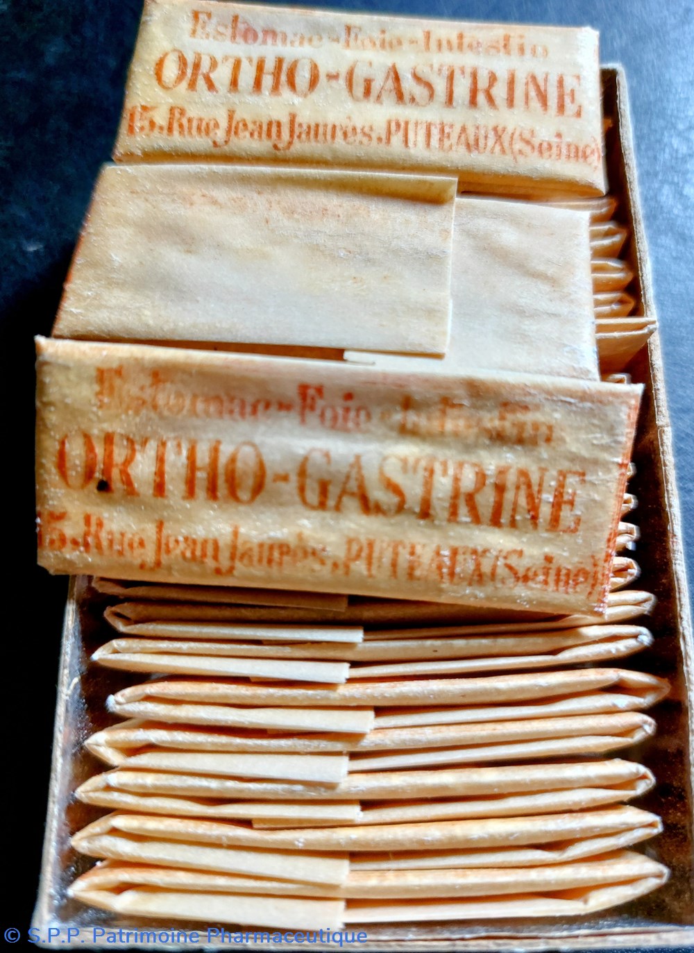 ORTHO- GASTRINE (poudre) 5 science ortho gastrine poudre