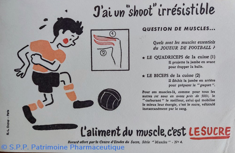 Le SUCRE Aliment du muscle - Série Muscles N° 4 ( Football ) science pharmacie le sucre aliment du muscle serie muscles n 4 football