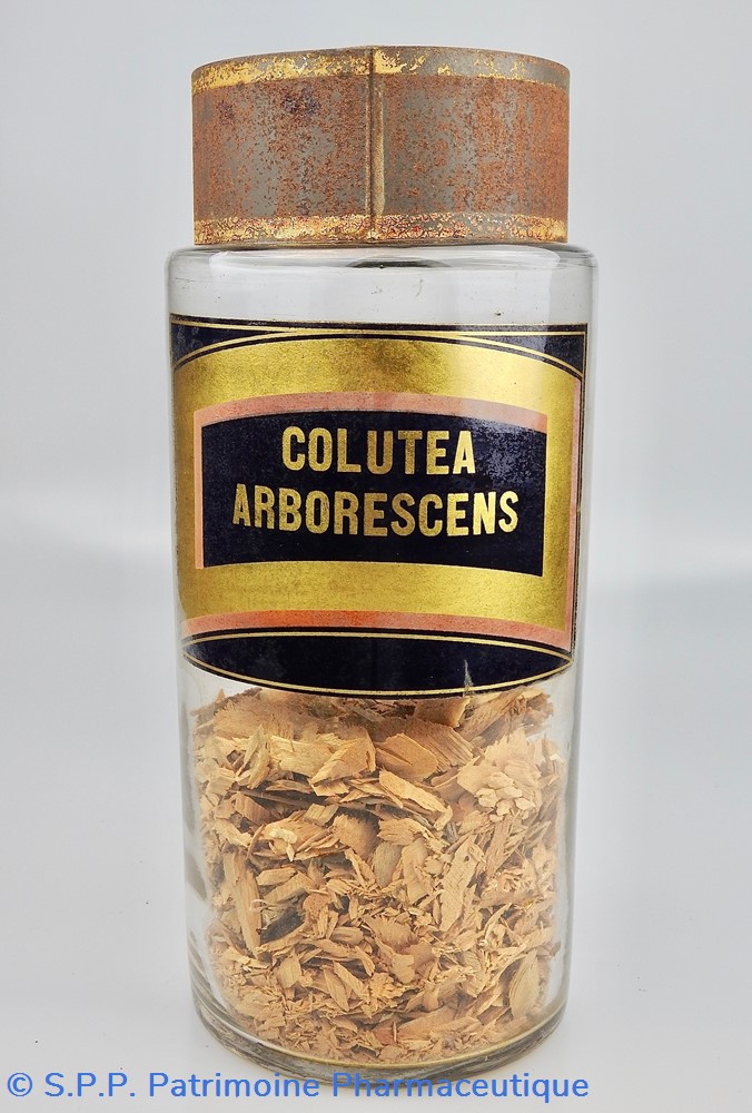 science flacon en verre herboristerie tres grand modele pharmacie ravasse