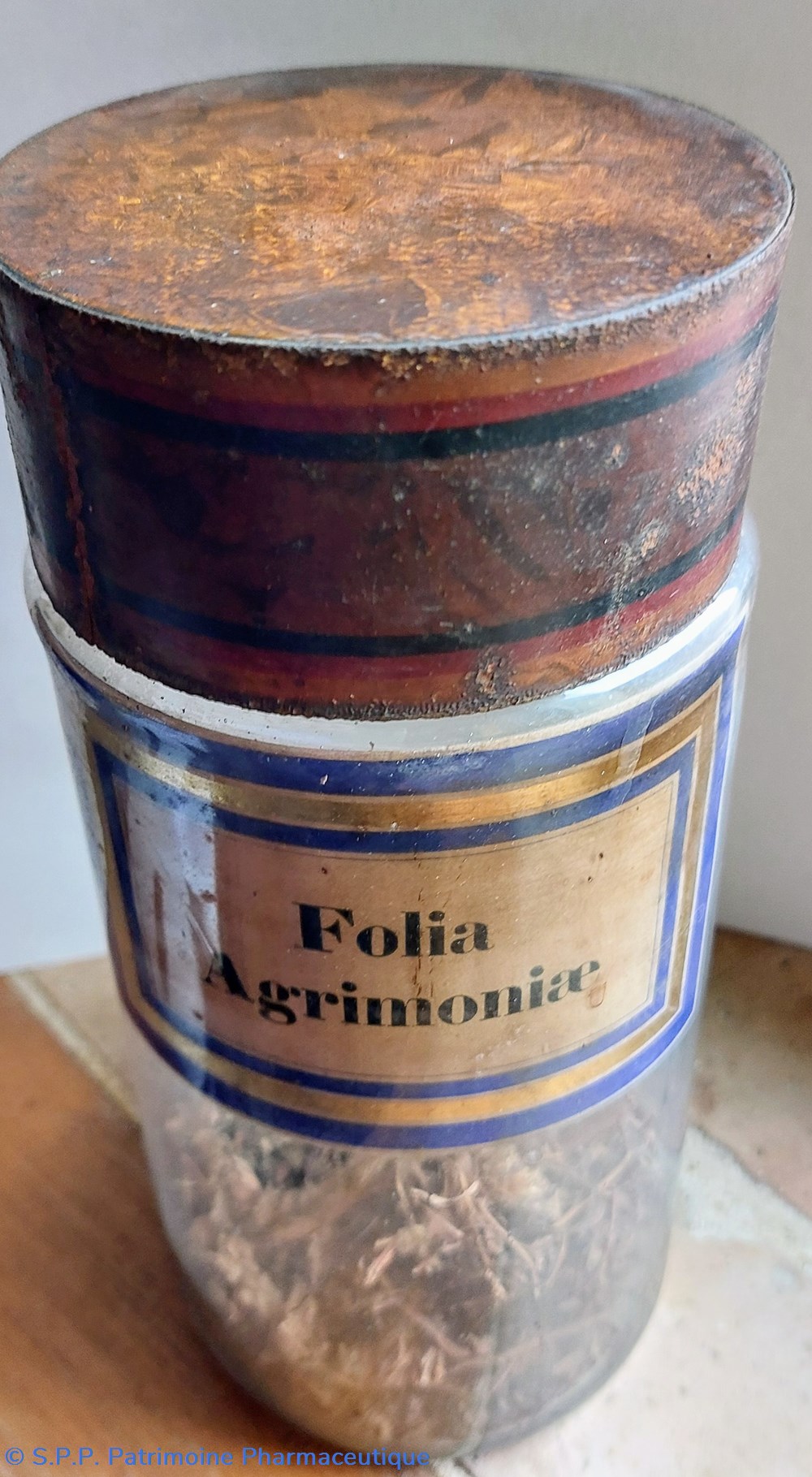 science pharmacie folia agrimoniae flacon herboristerie grand modele