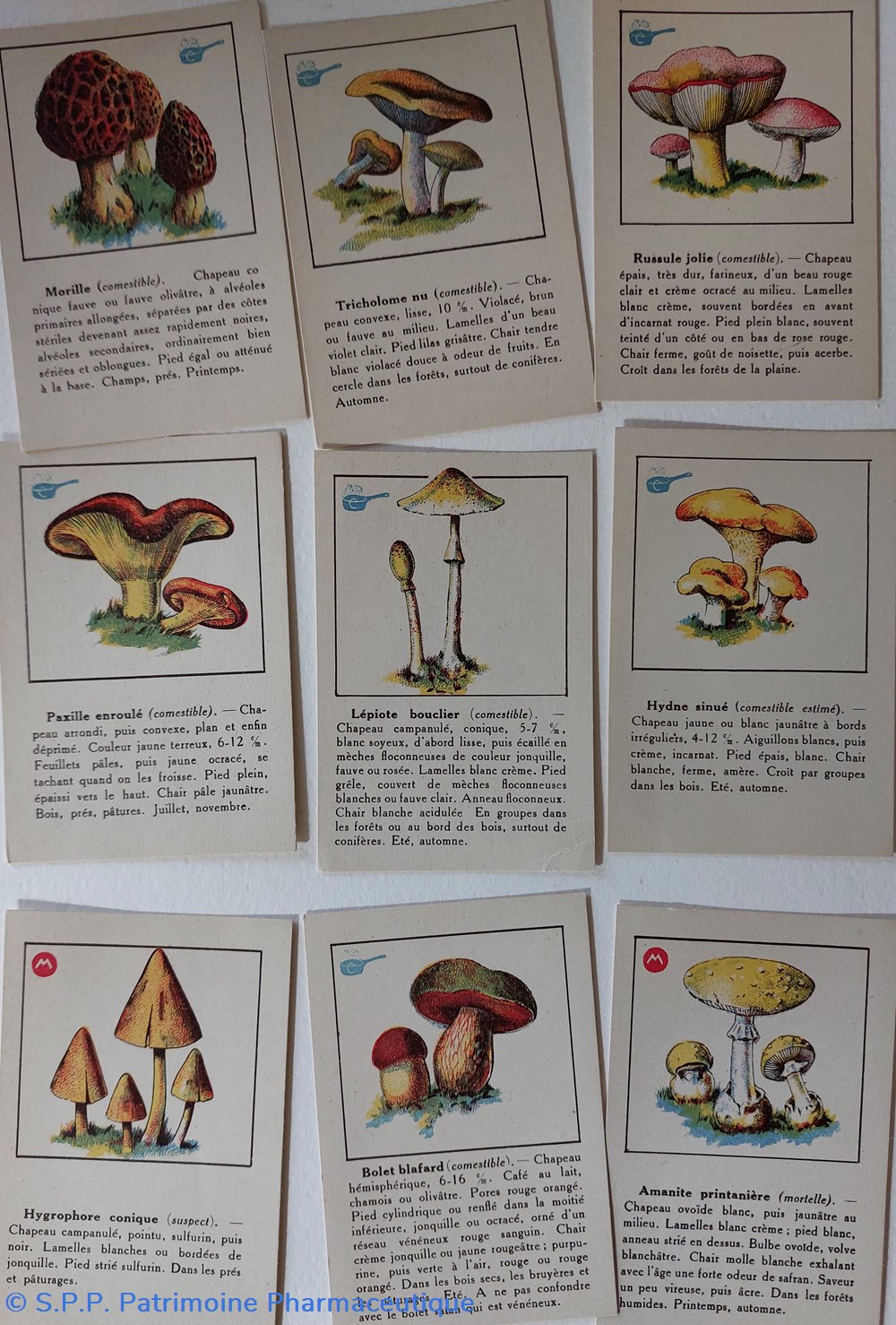 9 cartes champignons Blédine ou Blécao objets publicitaires 9 cartes champignons bledine ou blecao