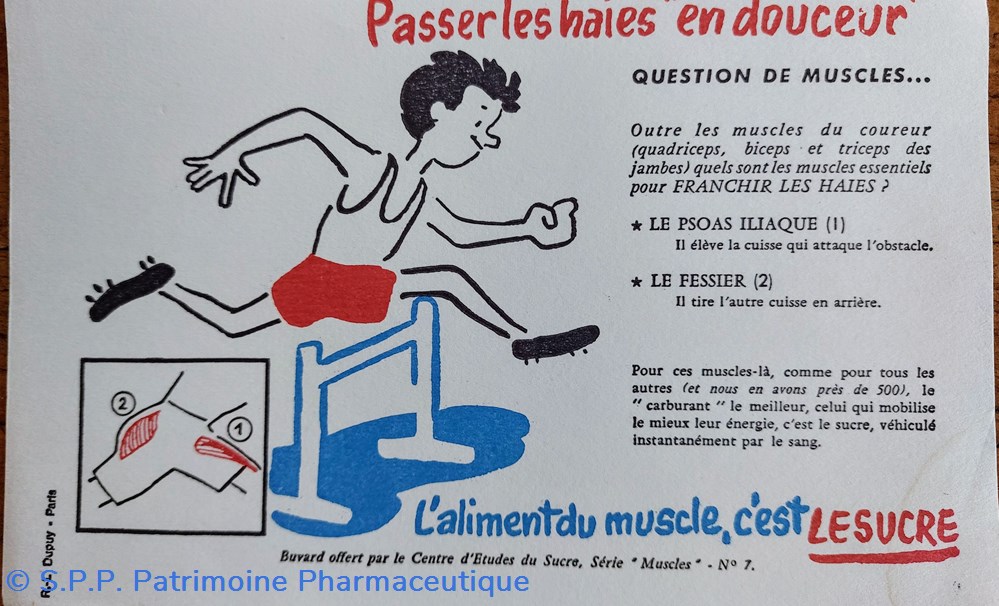science pharmacie le sucre aliment du muscle serie muscles n 7 course de haies