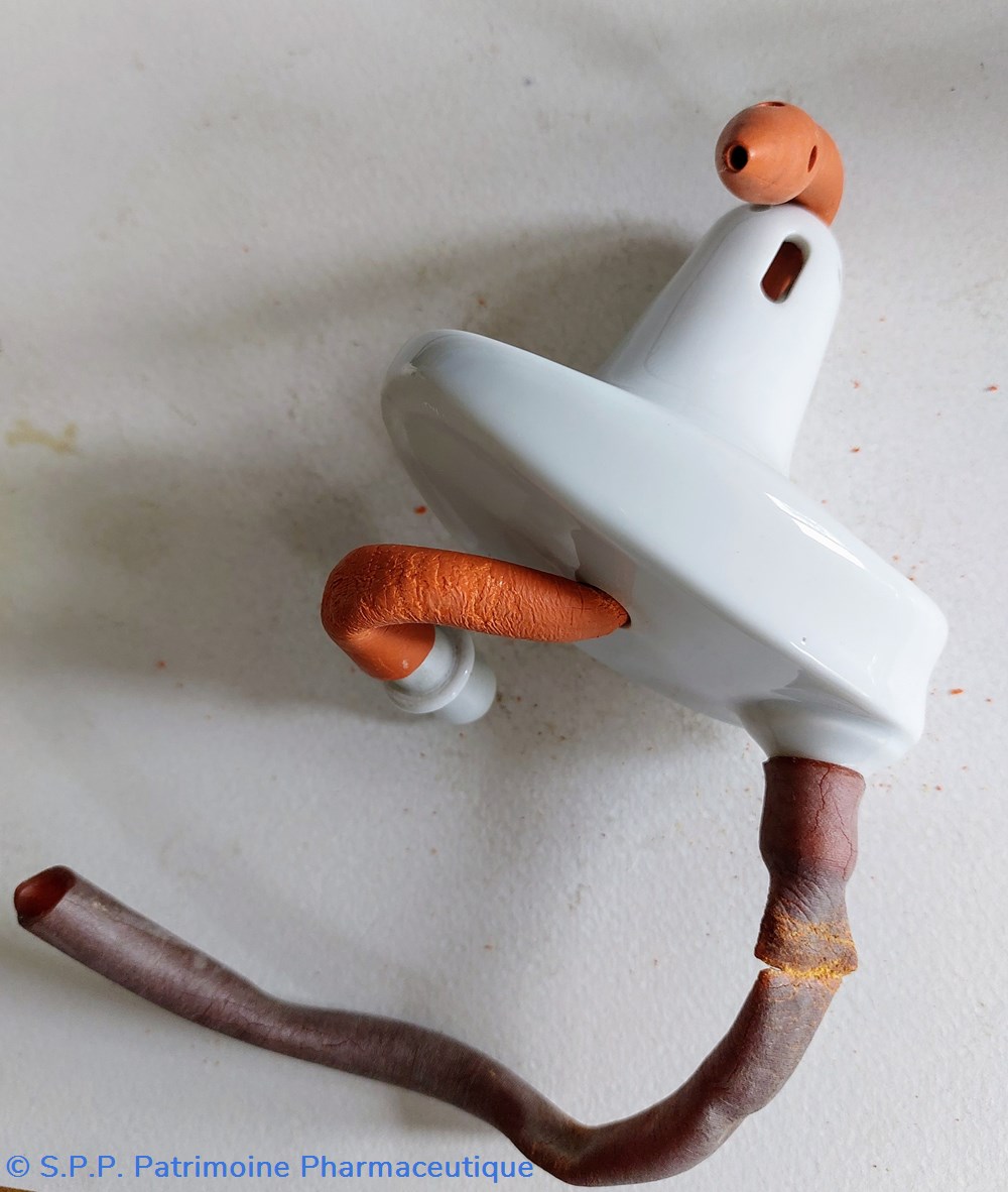 science pharmacie canule vaginale en porcelaine