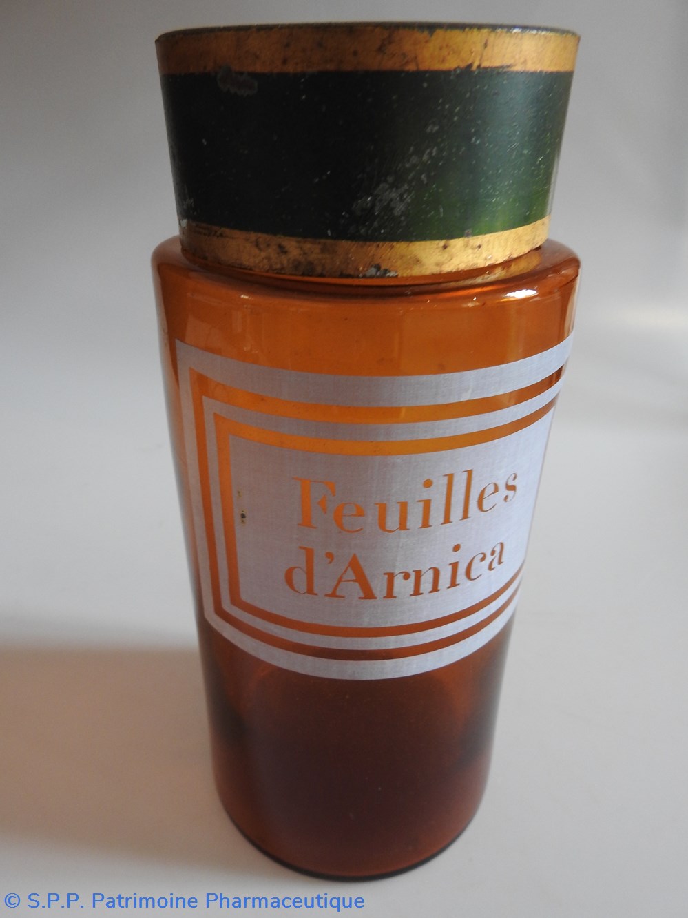 FEUILLES d'ARNICA science pharmacie feuilles arnica