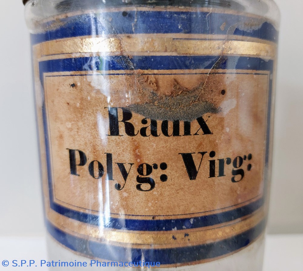 Flacon Herboristerie " Radix Polyg: Virg :" 2 science pharmacie flacon herboristerie radix polyg virg