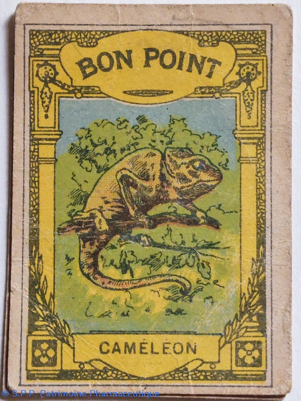 science pharmacie bon point jacquemaire le cameleon