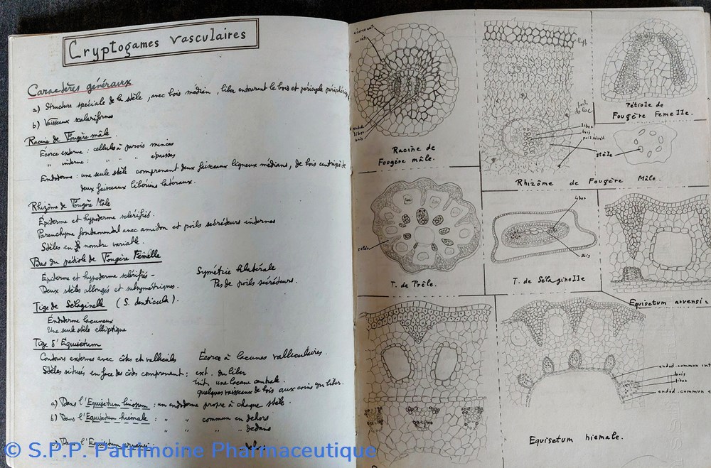 Cahier d'étudiant T. P. de micrographie 1940-41 2 documents anciens cahier etudiant t p de micrographie 1940 41