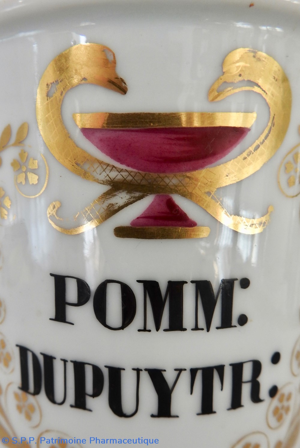 science pharmacie pomm dupuytr