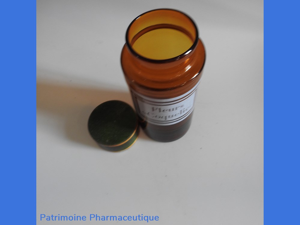 Fleurs de Coquelicot 3 science pharmacie fleurs de coquelicot