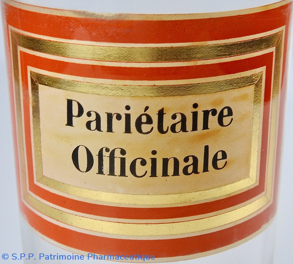 Flacon en verre Herboristerie grand modèle Pharmacie RAVASSE 2 science flacon en verre herboristerie grand modele pharmacie ravasse