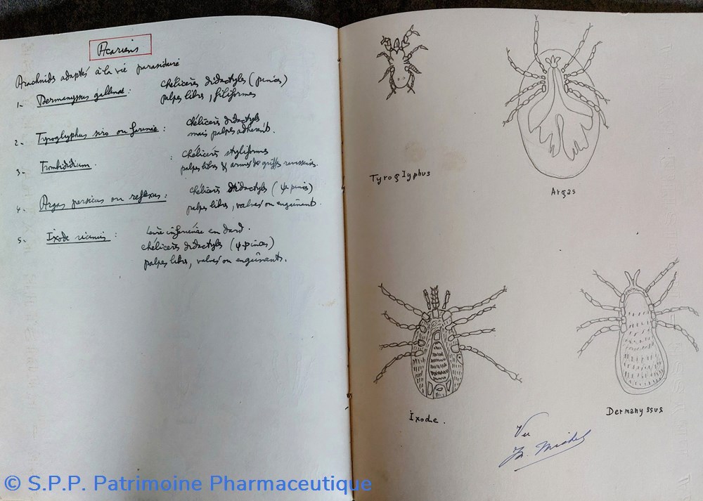 Cahier d'étudiant T. P. de micrographie 1940-41 6 documents anciens cahier etudiant t p de micrographie 1940 41
