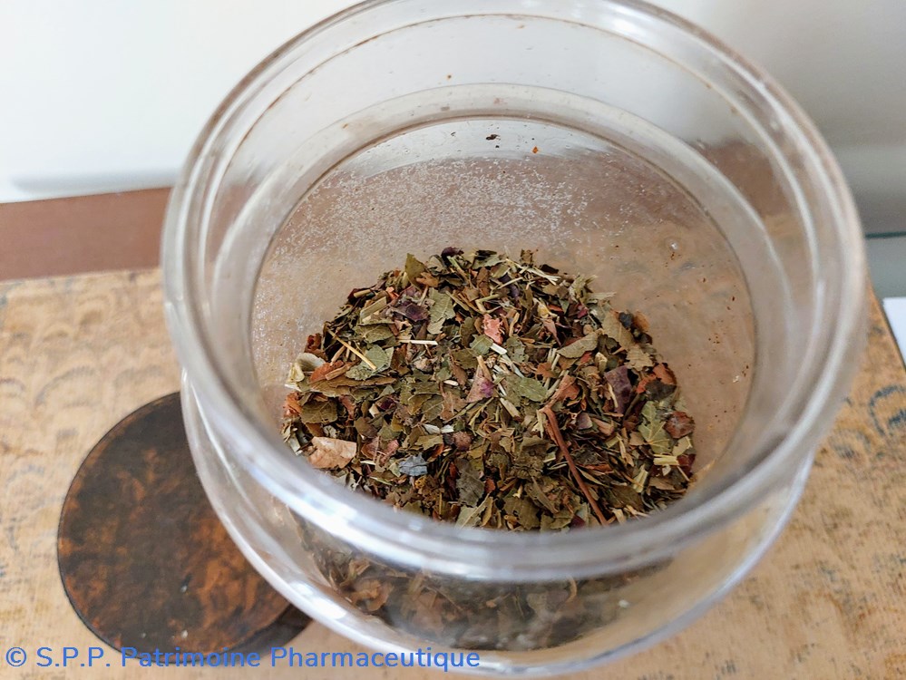 Pot de Pharmacie " Asplen Scolopend :" 4 science pot de pharmacie asplen scolopend