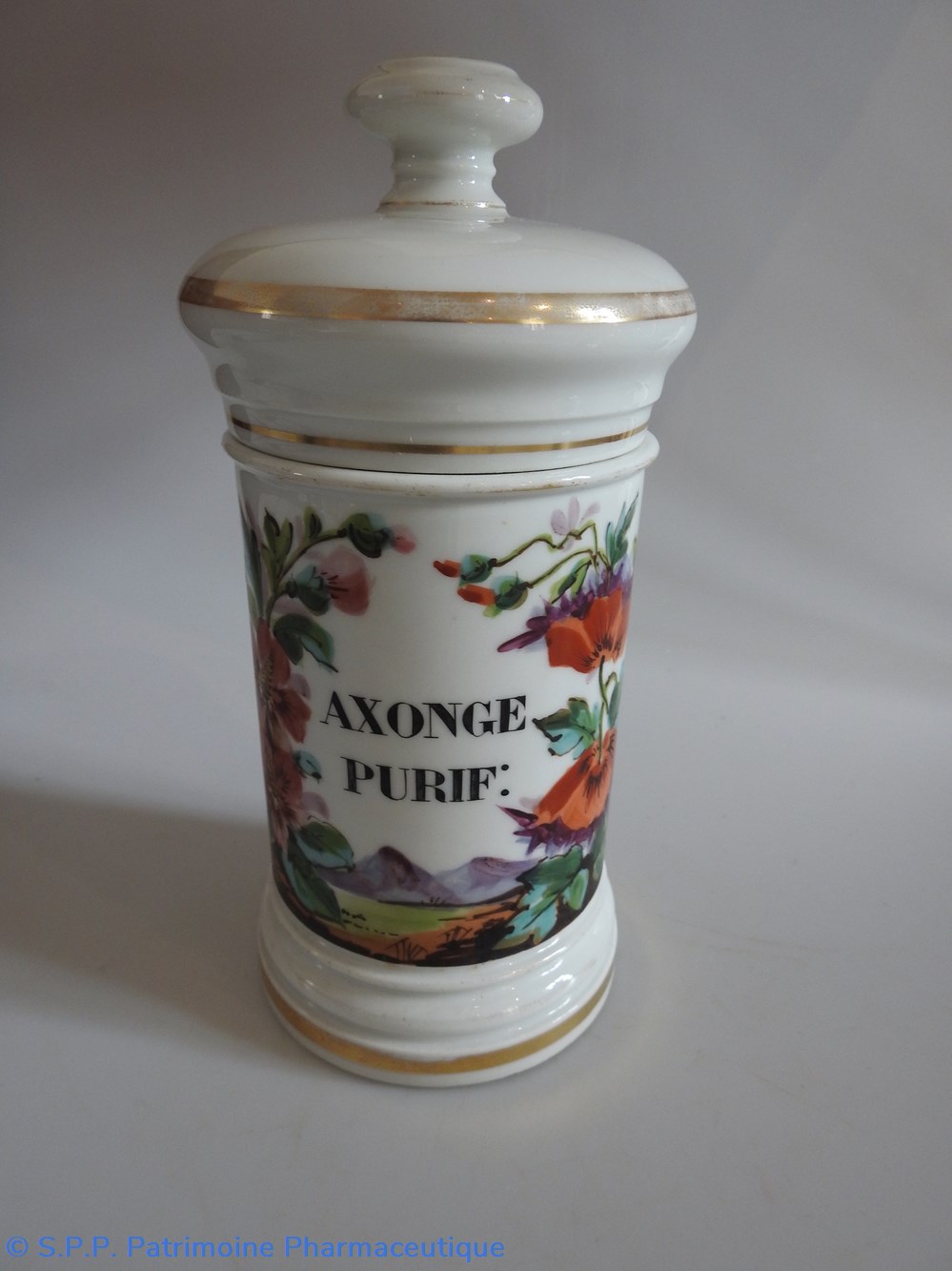 science pharmacie axonge purif