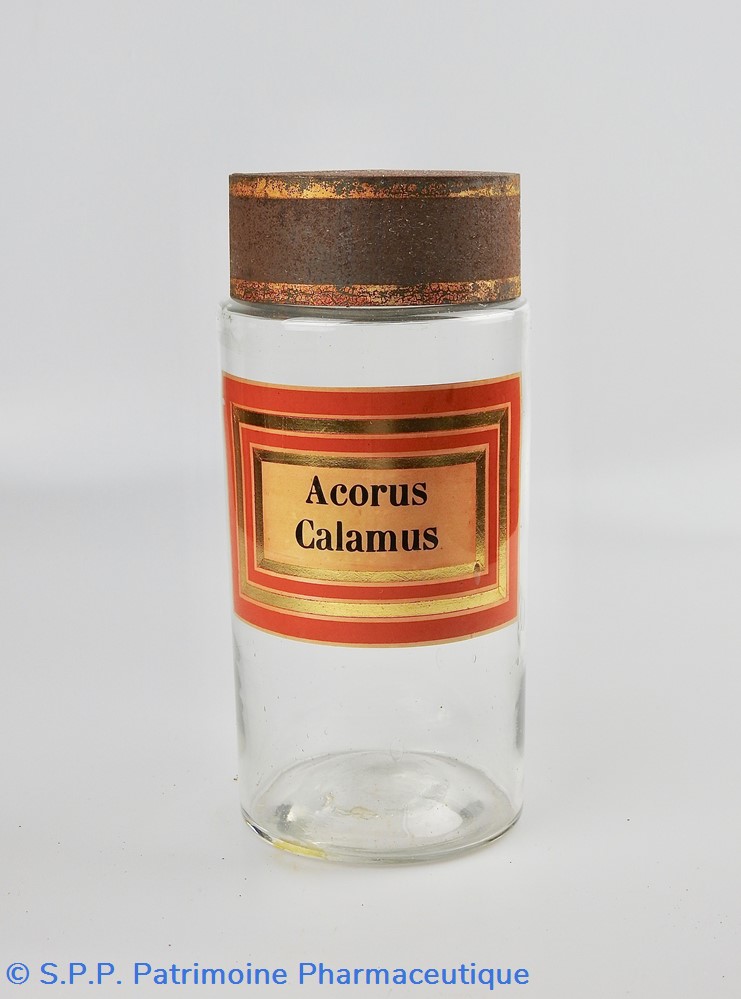 Flacon en verre Herboristerie grand modèle Pharmacie RAVASSE science flacon en verre herboristerie grand modele pharmacie ravasse