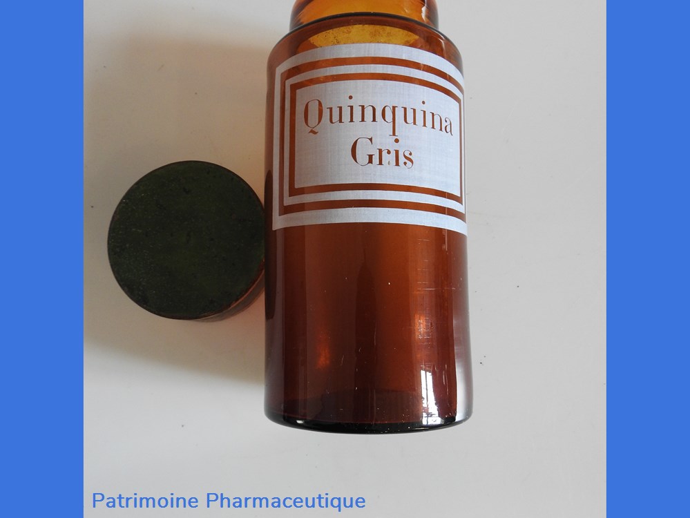 Quinquina Gris 4 science pharmacie quinquina gris