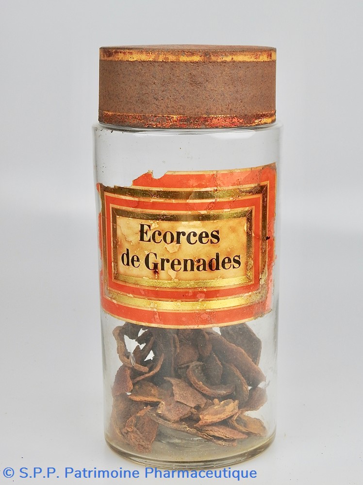 science flacon en verre herboristerie grand modele pharmacie ravasse