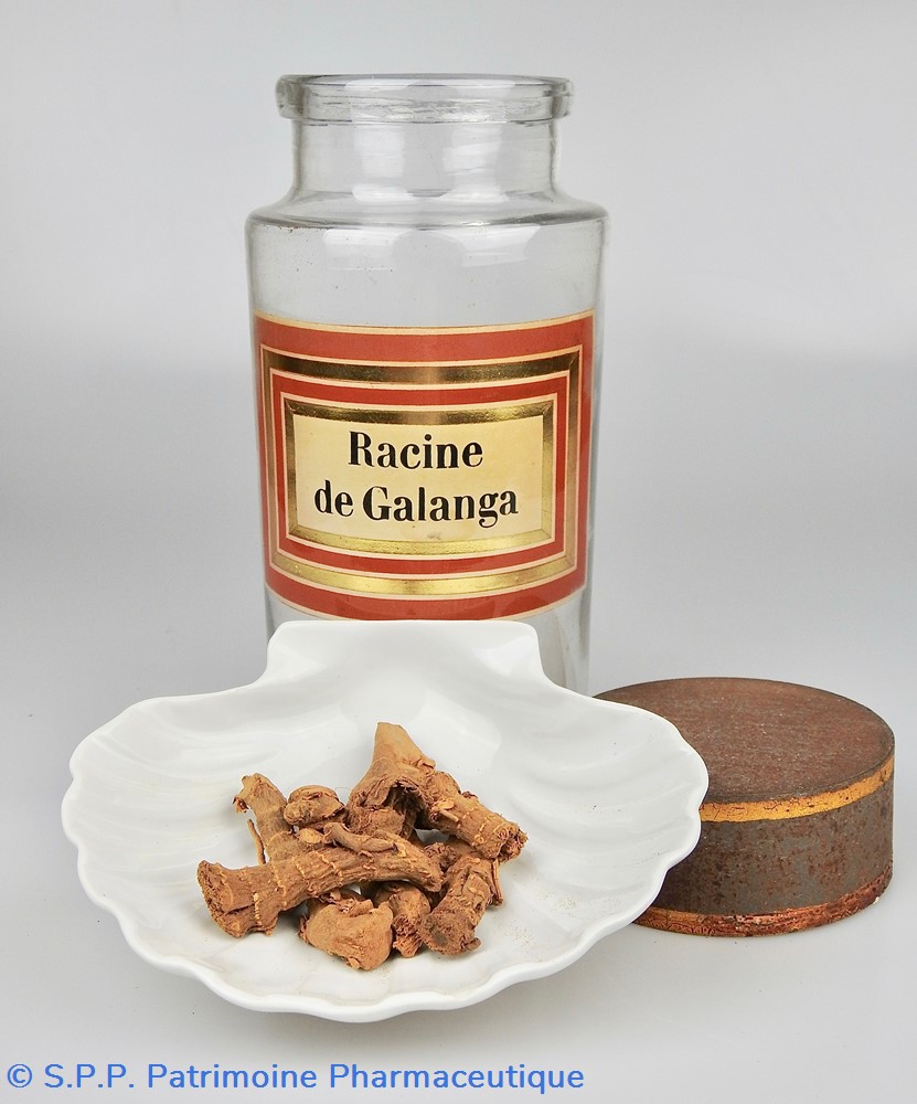 Flacon en verre Herboristerie grand modèle Pharmacie RAVASSE 5 science flacon en verre herboristerie grand modele pharmacie ravasse