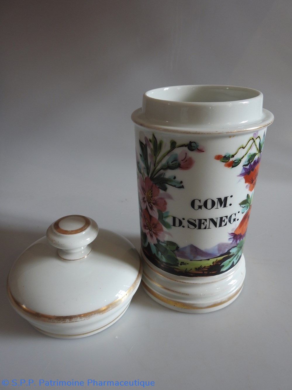 science pharmacie gom d seneg