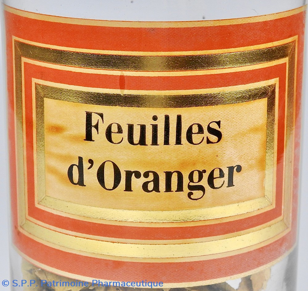 science flacon en verre herboristerie grand modele pharmacie ravasse