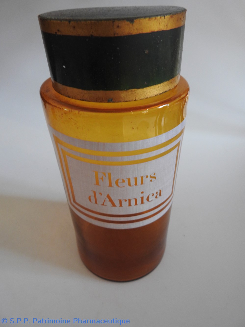 Fleurs d'ARNICA 2 science pharmacie fleurs arnica