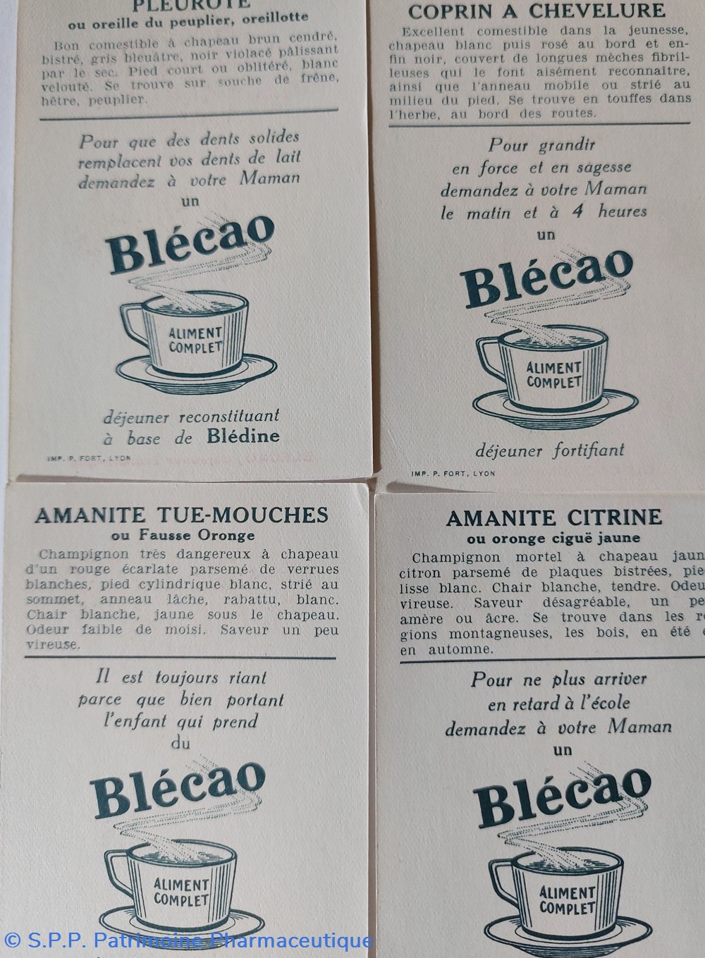 32 Cartes champignons Blécao à collectioner 4 objets publicitaires 32 cartes champignons blecao a collectioner