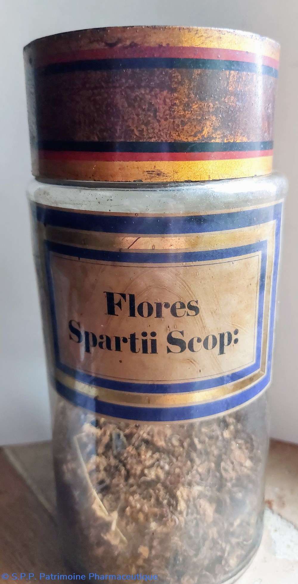 Flores Spartii Scop : Flacon en verre Herboristerie science pharmacie flores spartii scop flacon en verre herboristerie
