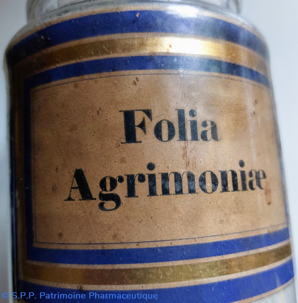 science pharmacie folia agrimoniae flacon herboristerie grand modele