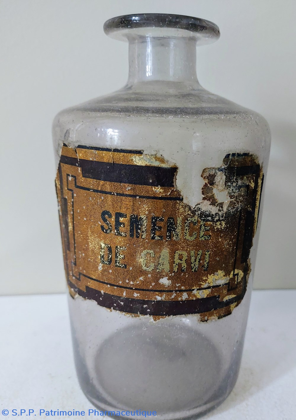 Semence de Carvi / Flacon de pharmacie 20 cm science semence de carvi flacon de pharmacie 20 cm