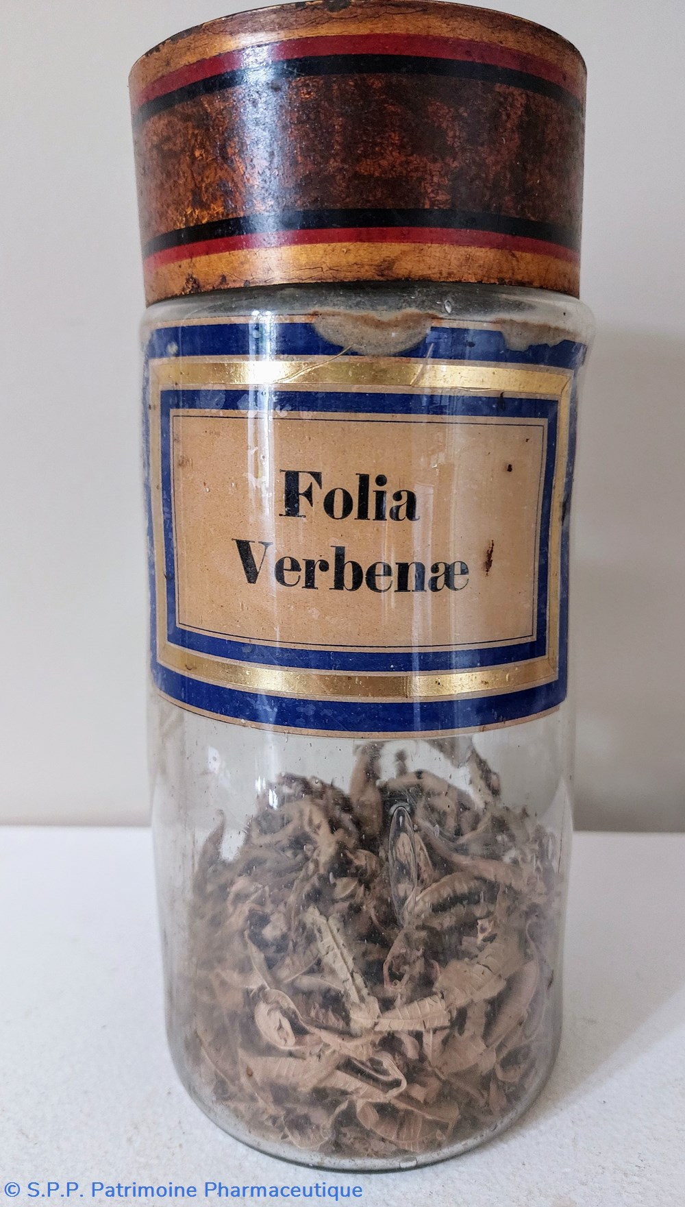 science pharmacie flacon herboristerie folia verbenae